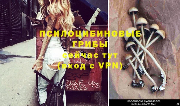 альфа пвп Богданович