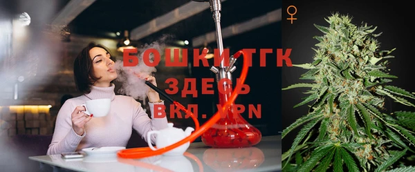 твердый Богородицк