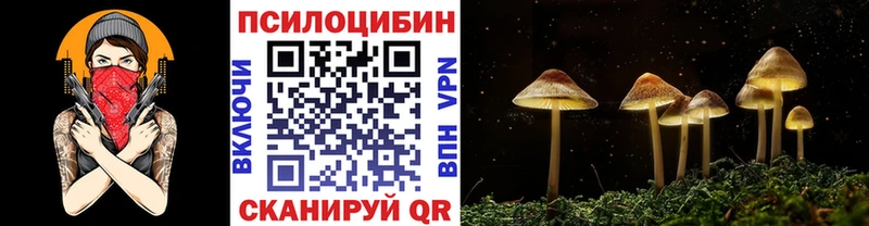 Галлюциногенные грибы Psilocybine cubensis что такое наркотик Вуктыл
